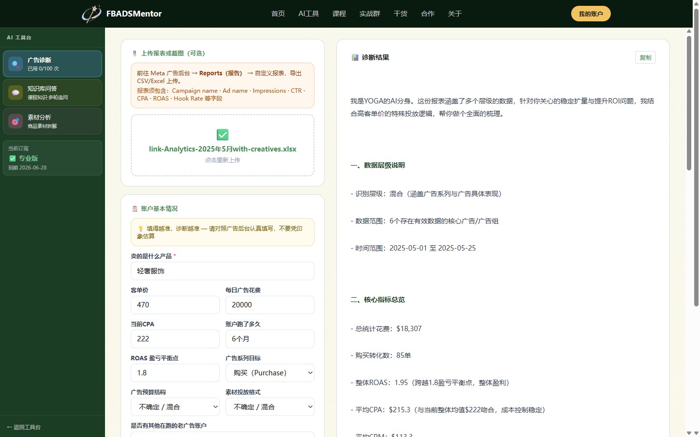 FBADSMentor AI工具界面